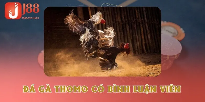 da-ga-thomo-co-binh-luan-vien