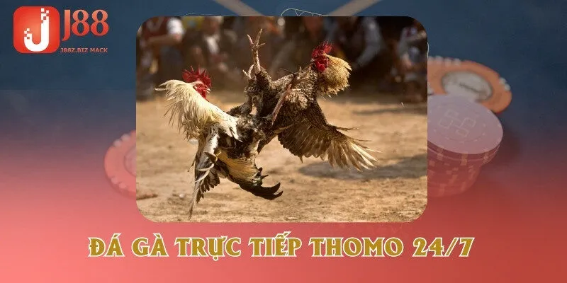 da-ga-truc-tiep-thomo-24-7